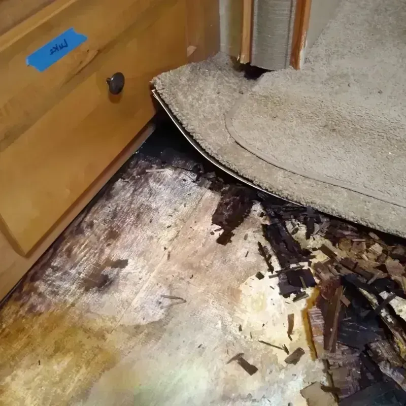 Wood Floor Water Damage in Maywood, IL